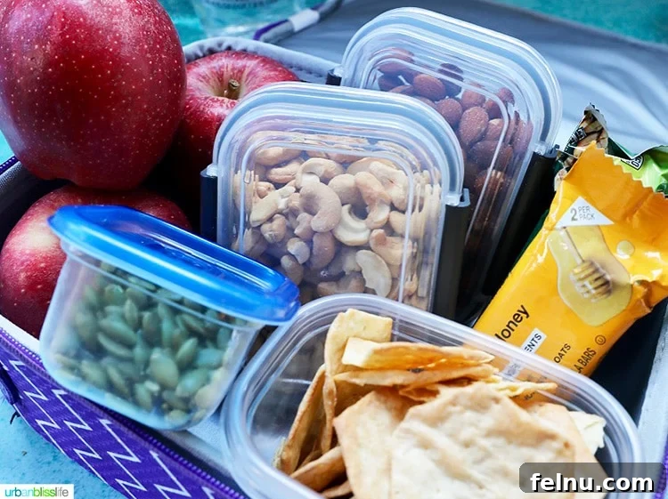 Essential Road Trip Tips Plus Your Free Planner 5 A variety of healthy and easy-to-pack road trip snacks for kids and adults, including fruit, nuts, and granola bars.