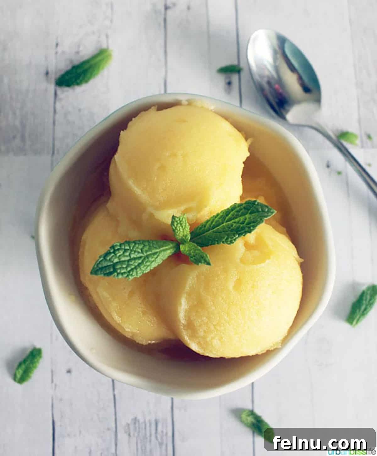 Zesty Orange Sorbet Made Easy 3 Three perfectly scooped balls of vibrant orange sorbet elegantly garnished with a fresh sprig of mint, highlighting its refreshing appeal.