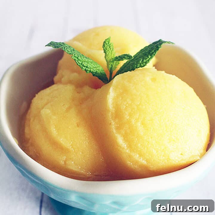 Three perfectly scooped balls of orange juice sorbet in a charming blue ice cream cup.