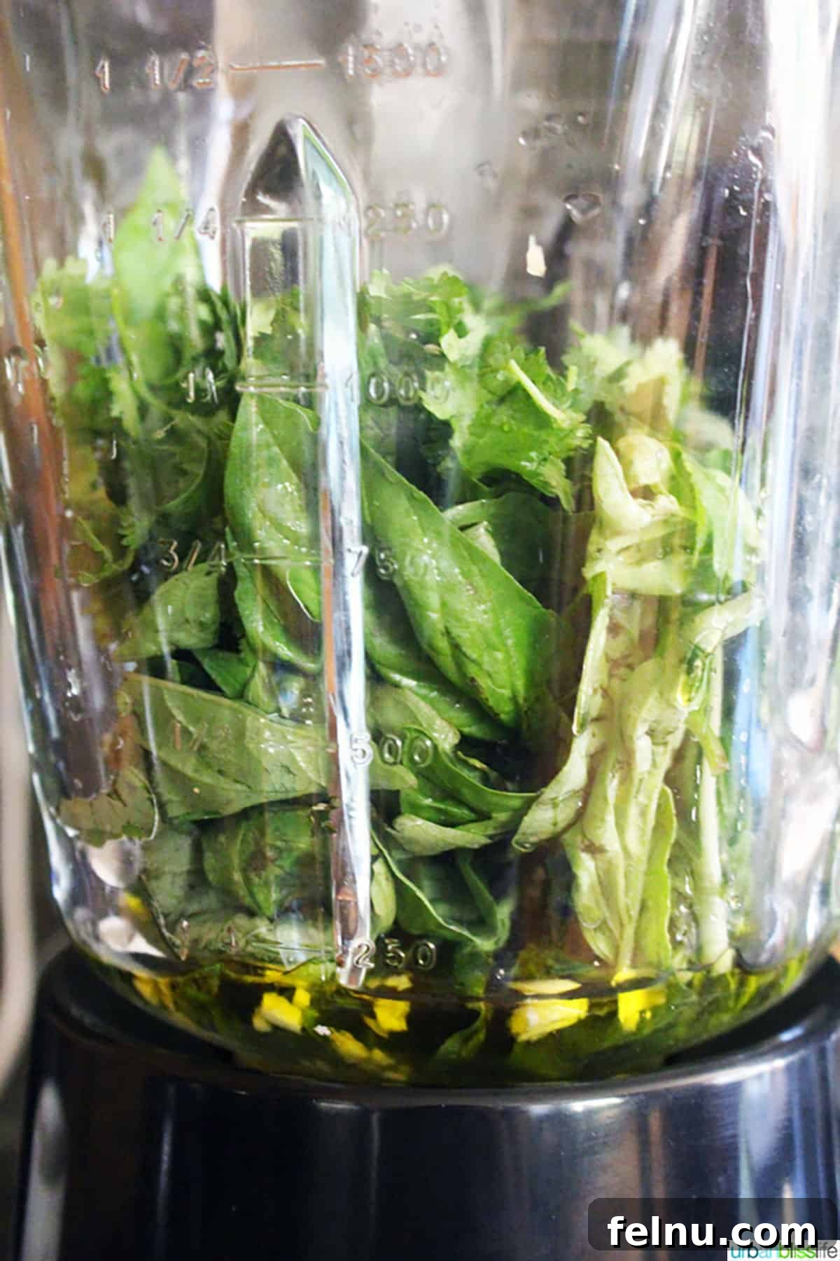 Grilled Steak with Basil Pesto 6 Cilantro, basil, almonds in blender for pesto