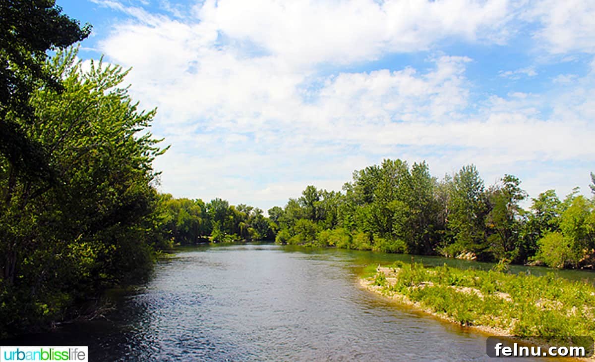 Rose City to Gem State A Northwest Drive 4 The serene Idaho Greenbelt River path, offering a tranquil spot for travelers to relax and recharge during their road trip.