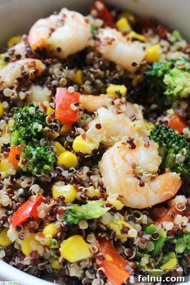 Shrimp Quinoa Garden Bowl 4 Close-up of a portion of Shrimp Quinoa Bowl showcasing the vibrant ingredients