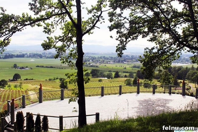Keeler Estate: A Willamette Valley Gem 11 Overlook at Keeler Estate Vineyards