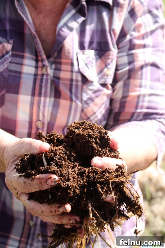 Keeler Estate: A Willamette Valley Gem 12 Compost at Keeler Estate Vineyards