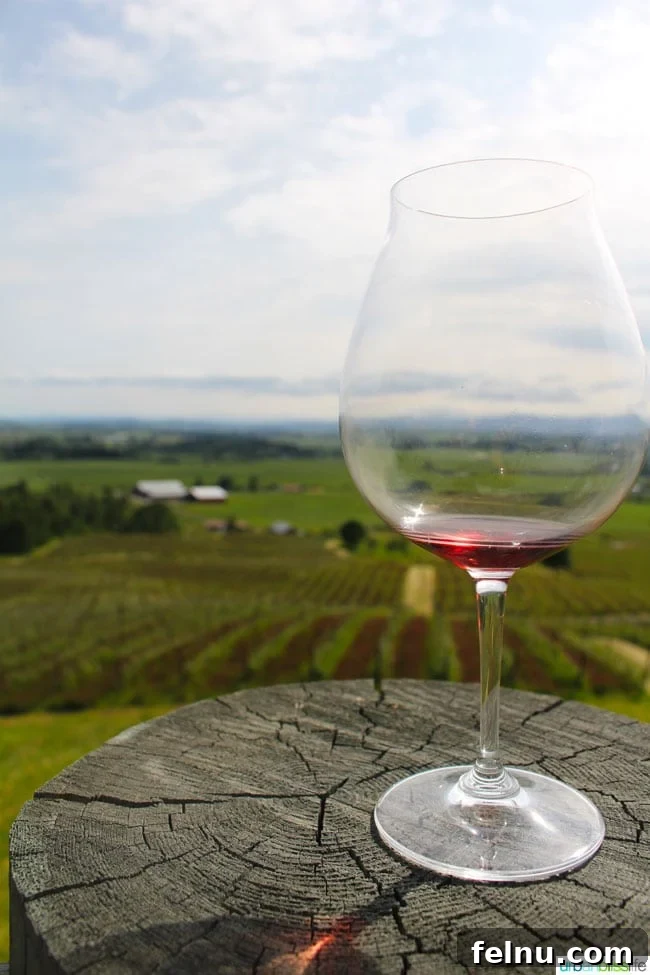 Keeler Estate: A Willamette Valley Gem 17 Pinot Noir at Keeler Estate Vineyards