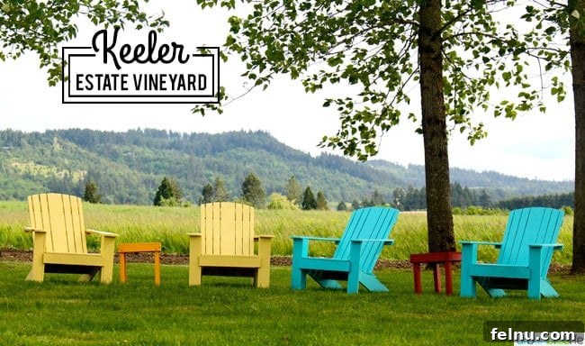 Keeler Estate: A Willamette Valley Gem 3 Comfortable seating at Keeler Winery