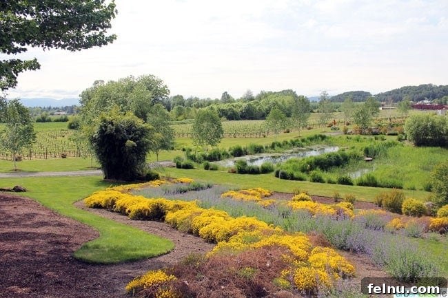 Keeler Estate: A Willamette Valley Gem 4 Gardens at Keeler Estate Vineyards