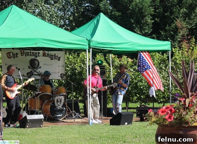 Live Music at the Festival
