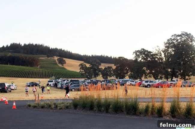 Shuttle Buses Back to Stoller