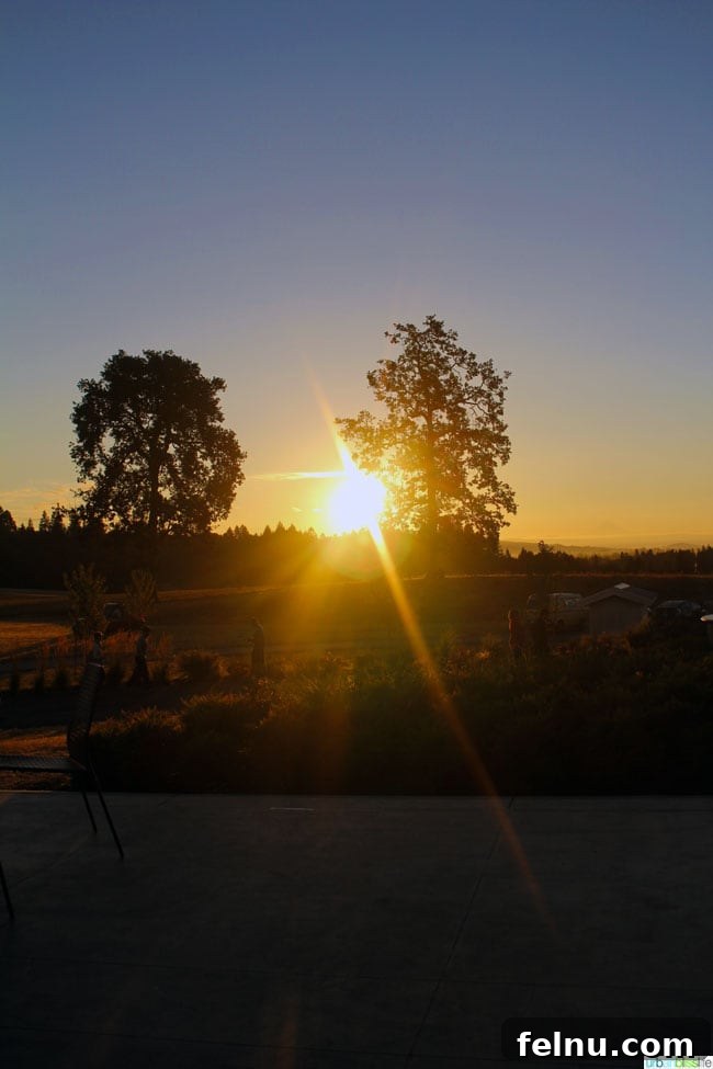 Oregon Wine Country Half Marathon Sunrise