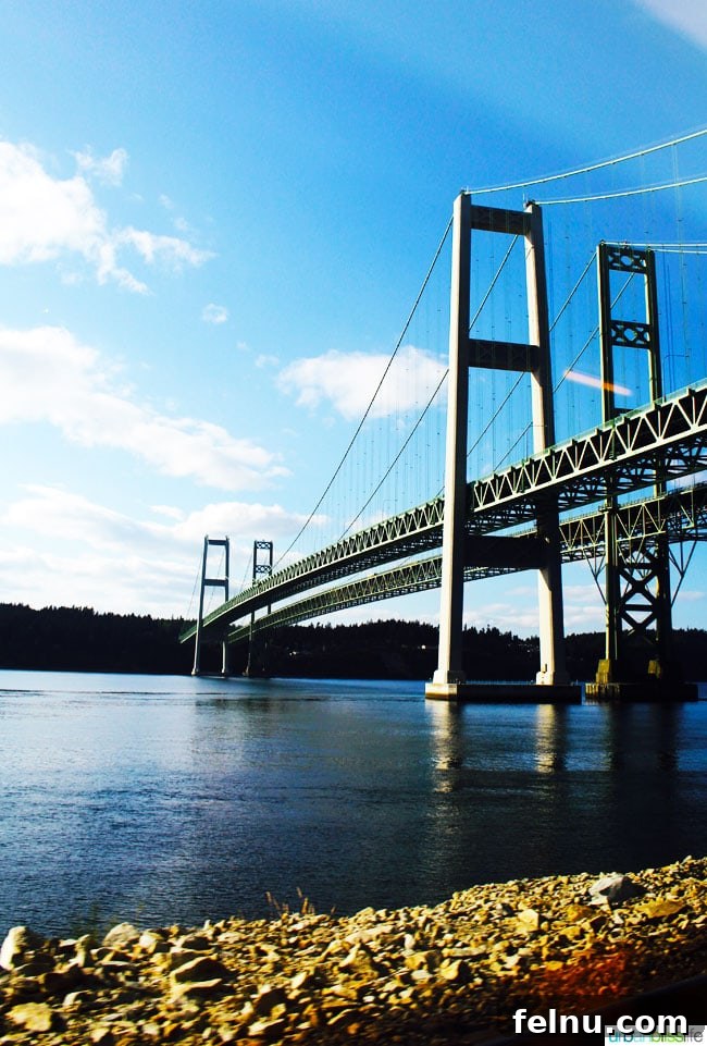 Portland to Vancouver BC: A Scenic Train Journey 3 Scenic Views from the Amtrak Cascades