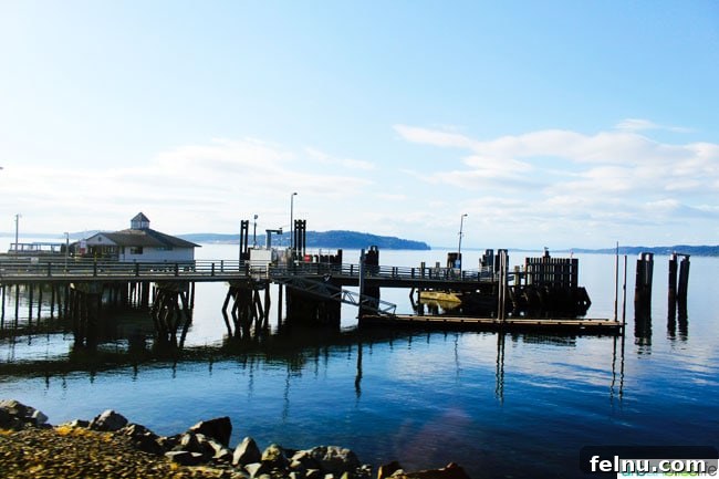 Portland to Vancouver BC: A Scenic Train Journey 5 Picturesque Landscapes from the Train Window