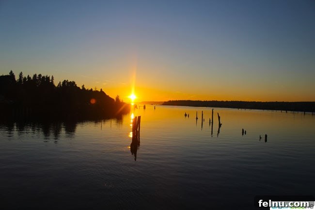 Portland to Vancouver BC: A Scenic Train Journey 9 Enjoying the Scenery While Connected