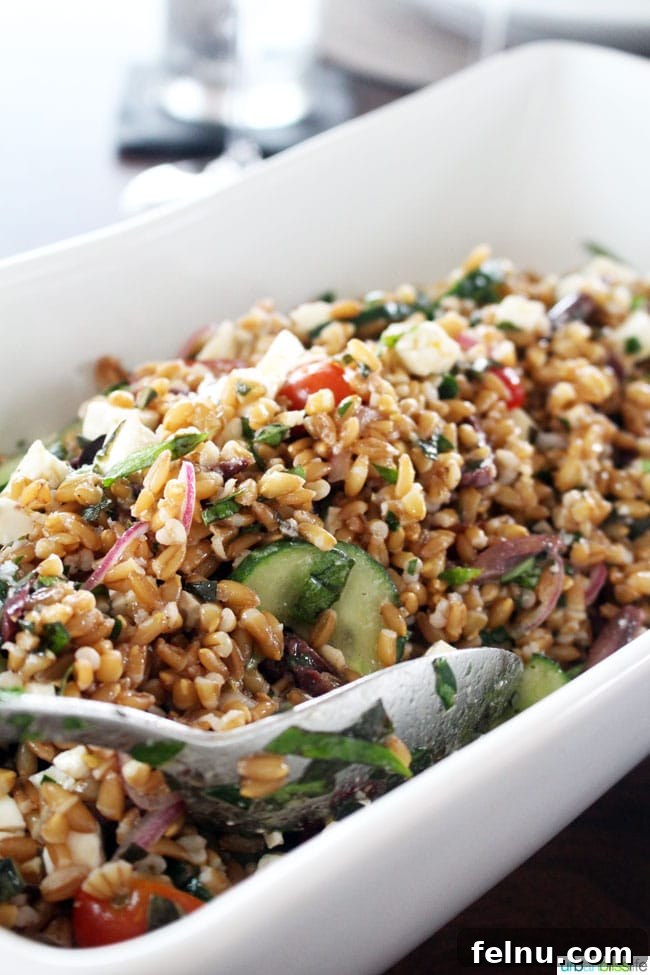 Stoller Winery Marks Two Decades of Excellence 12 Stoller Family Estate Vineyard & Winery: A Farro Salad Delight