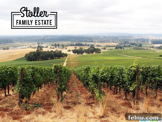 Stoller Winery Marks Two Decades of Excellence 4 Stoller Winery: A Legacy of Wine and Land