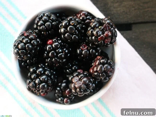Oregon Marionberry Cider Delight 2 Fresh Oregon Marionberries