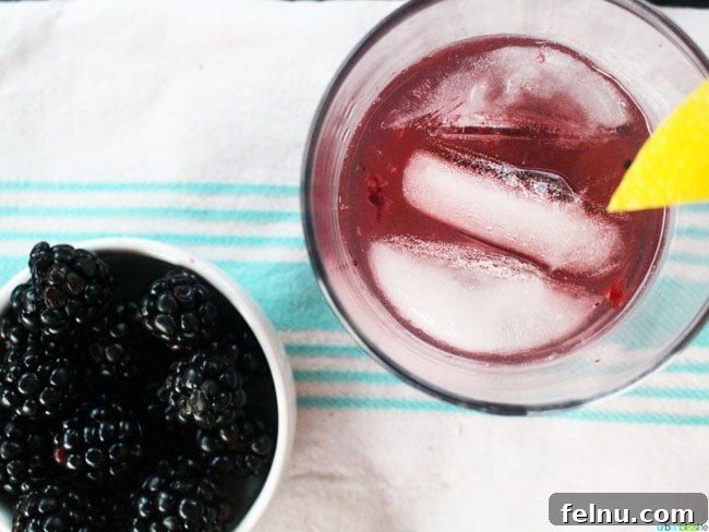 Oregon Marionberry Cider Delight 3 A Refreshing Marionberry Cider Cocktail