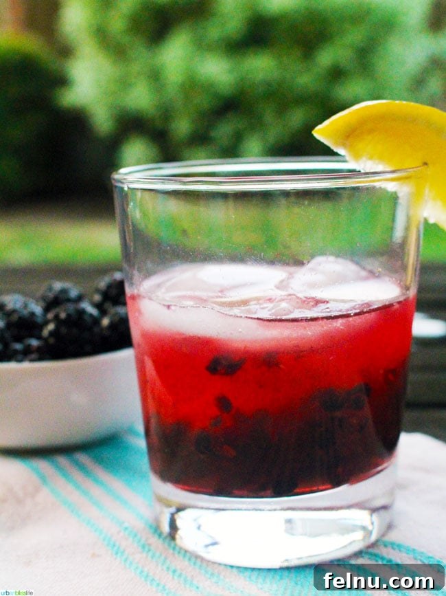 Oregon Marionberry Cider Delight 6 Marionberry Cider Crush Cocktail Recipe