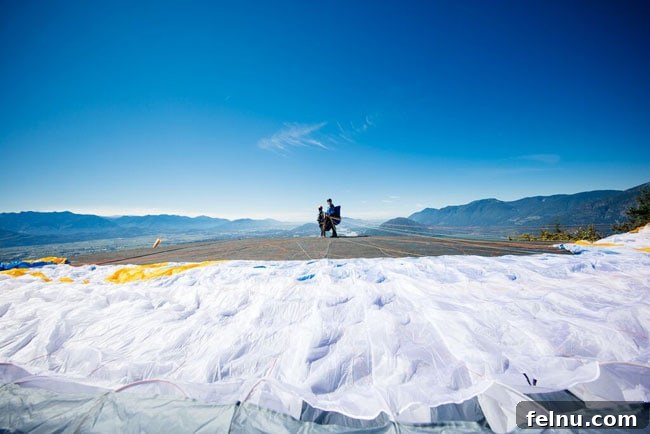Fraser Valley Paragliding: BC's Sky-High Adventures 3 Fraser Valley Paragliding in British Columbia