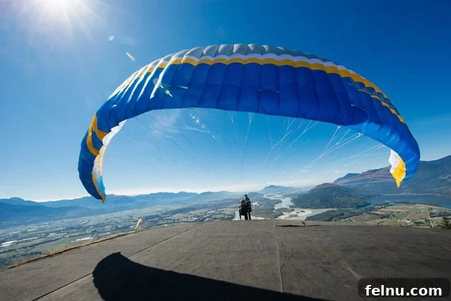 Fraser Valley Paragliding: BC's Sky-High Adventures 5 Fraser Valley Paragliding in British Columbia