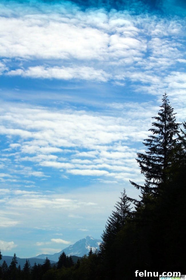 The Ultimate Central Oregon Adventure 2 Majestic Mount Hood Landscape