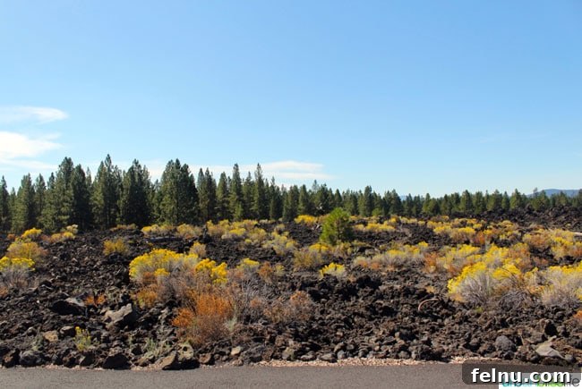 The Ultimate Central Oregon Adventure 13 Lava Rocks Landscape in Central Oregon