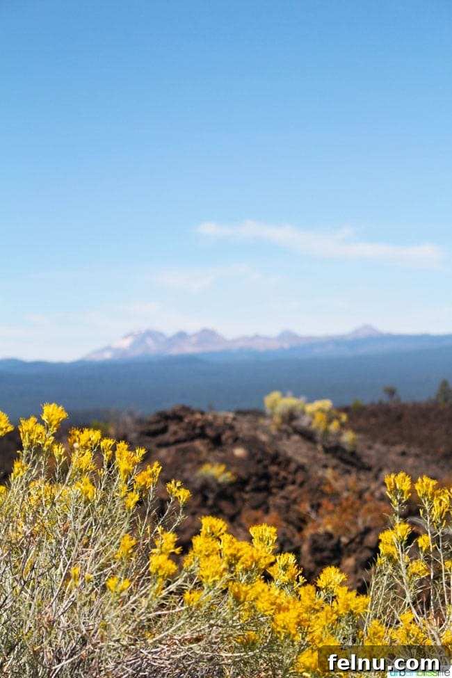 The Ultimate Central Oregon Adventure 14 Lava Rocks and Wildflowers