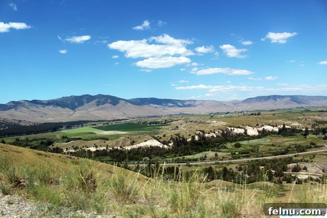 Montana's Majestic Bison Realm 7 Vast landscapes of the National Bison Range in Montana