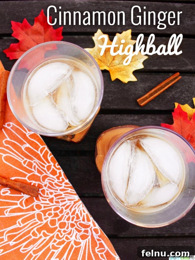 Fireside Ginger Cinnamon Fizz 2 Ginger Highball with Cinnamon Liqueur fall cocktail recipe on UrbanBlissLife.com