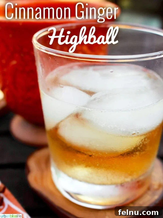 Fireside Ginger Cinnamon Fizz 3 Ginger Highball with cinnamon liqueur