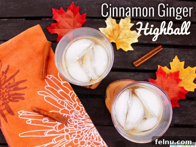 Fireside Ginger Cinnamon Fizz 6 Cinnamon Ginger Highball fall cocktail recipe on UrbanBlissLife.com