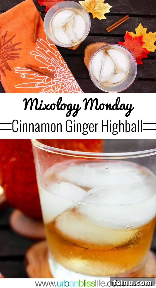Fireside Ginger Cinnamon Fizz 7 Cinnamon Ginger Highball fall cocktail recipe on UrbanBlissLife.com