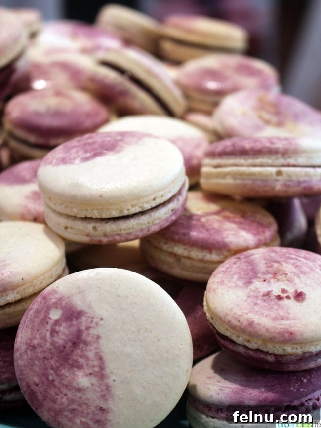 Feast Portland Macarons