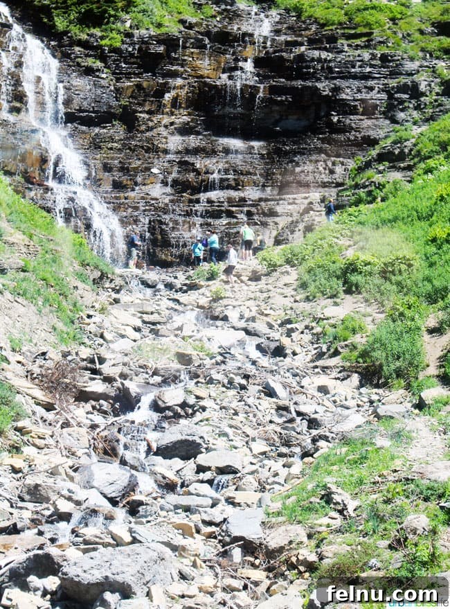 Exploring the Crown of the Continent 15 Rugged rock formations and a small waterfall with green vegetation in Glacier National Park
