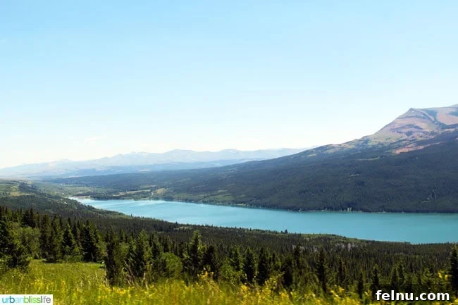 Exploring the Crown of the Continent 18 Serene view of a wide river flowing through a forested valley with distant mountains and a blue sky