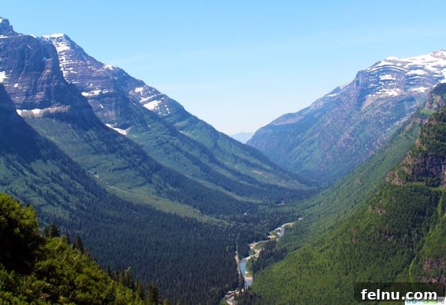 Exploring the Crown of the Continent 3 Panoramic view of Glacier National Park with lush green forests, a calm lake, and distant snow-capped peaks