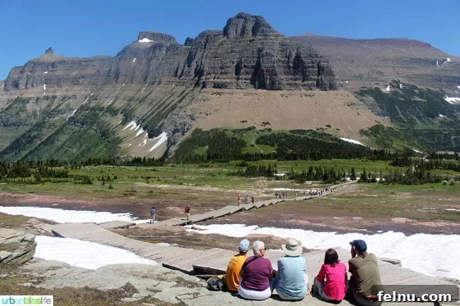 Exploring the Crown of the Continent 22 Scenic overlook with a wooden boardwalk path leading towards majestic mountains and a serene lake below
