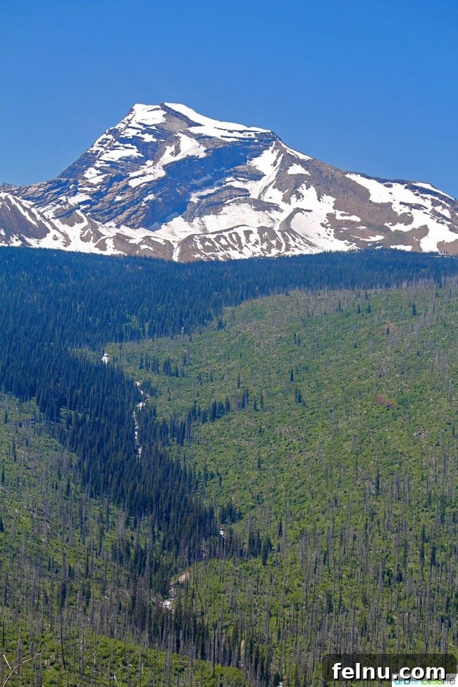 Exploring the Crown of the Continent 8 Detailed shot of a rugged mountain peak with intricate rock formations and streaks of white snow