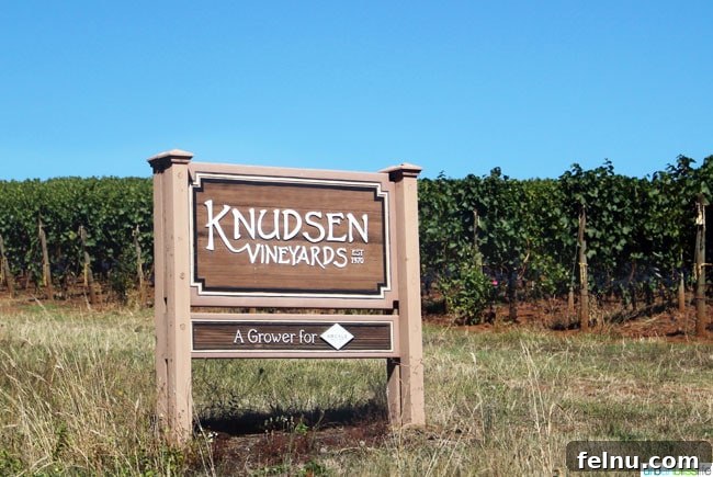 Knudsen Family Estate 3 Knudsen Vineyards Sign