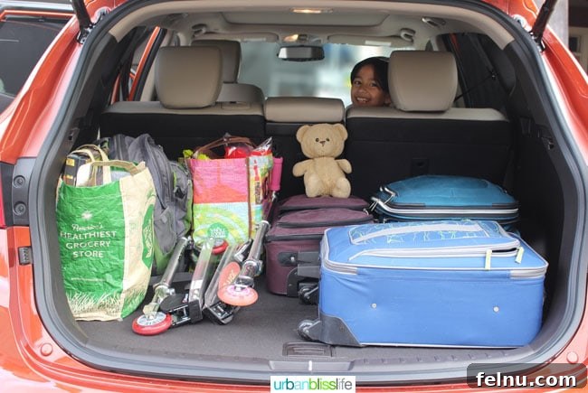 2015 Hyundai Santa Fe Sport: What You Need to Know 4 Spacious cargo room and versatile hidden storage in the 2015 Hyundai Santa Fe Sport trunk
