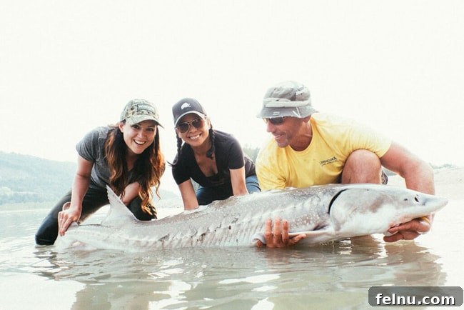 Reel Adventures in BC 6 fishing in british columbia - sturgeon