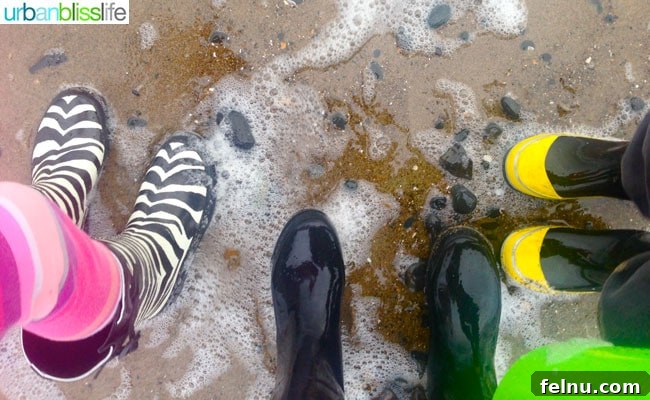 Autumn Escapes: Cozy Glamping Adventures 3 The rugged beauty of the Oregon Coast in Lincoln City, Oregon.