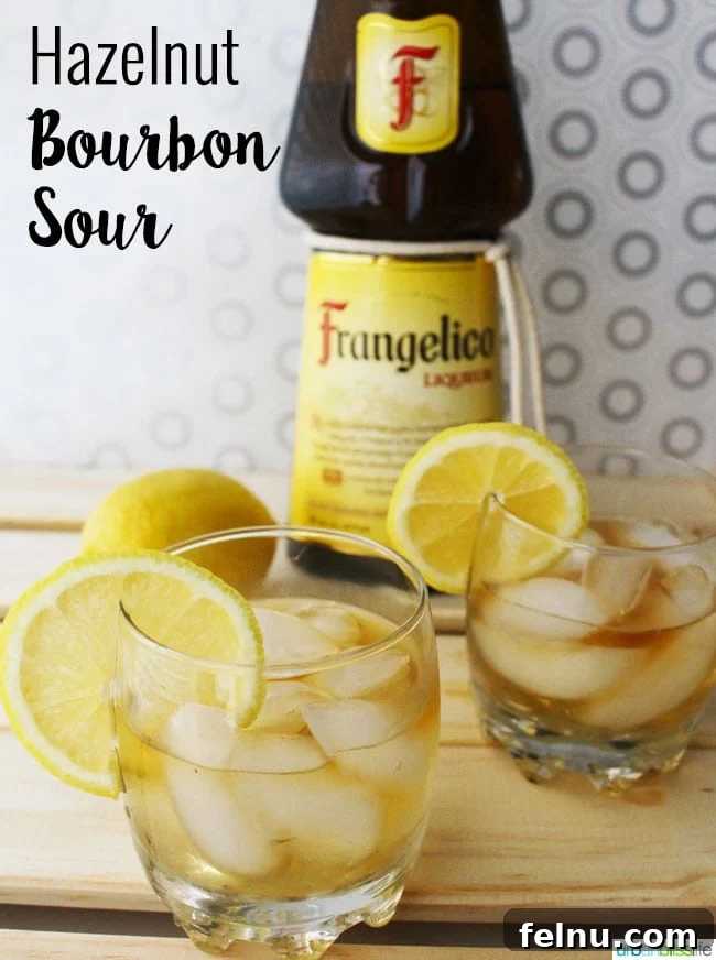 Hazelnut Bourbon Sour cocktail recipe