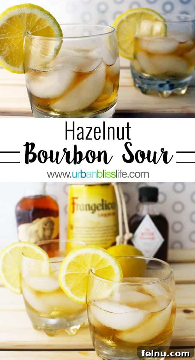 Hazelnut Bourbon Sour cocktail recipe