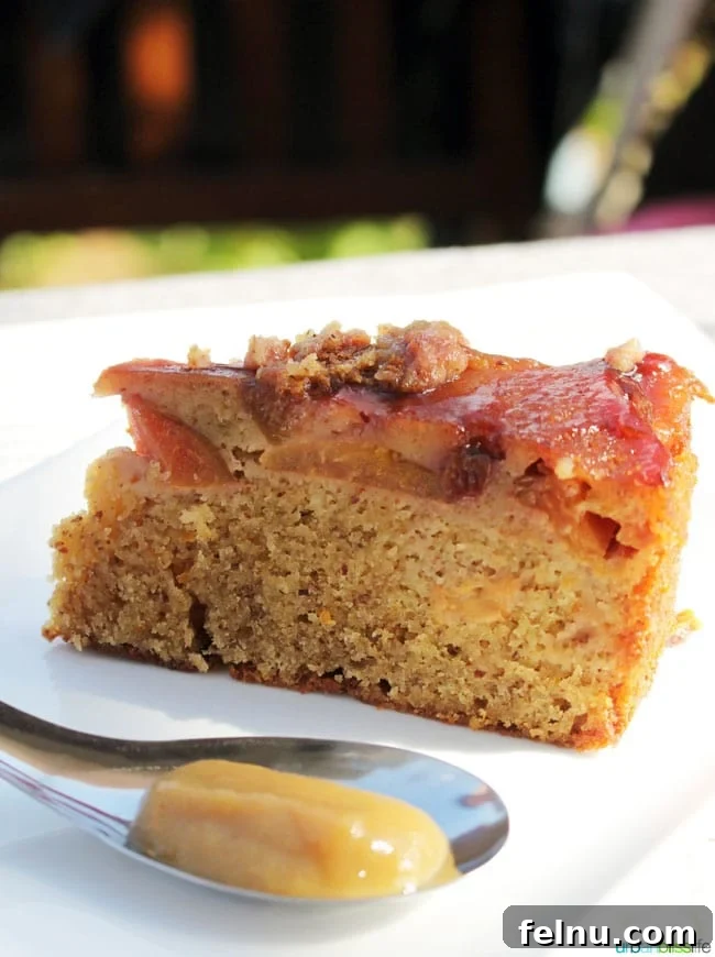 Raptor Ridge Vineyards 14 Plum cake at Raptor Ridge Winery