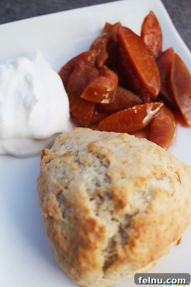 Raptor Ridge Vineyards 15 Scone and plums dessert