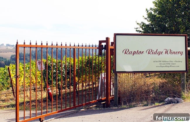 Raptor Ridge Vineyards 16 Entrance gates to Raptor Ridge Winery