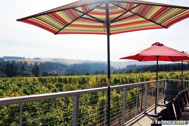 Raptor Ridge Vineyards 3 Outdoor seating area at Raptor Ridge Winery