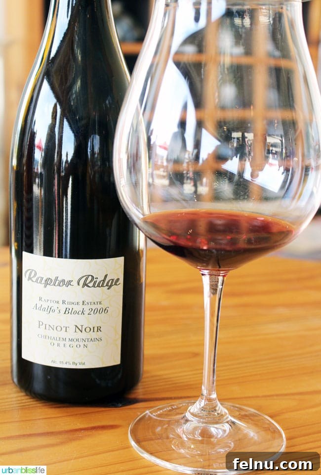 Raptor Ridge Vineyards 6 Raptor Ridge Adolfo's Block Pinot Noir