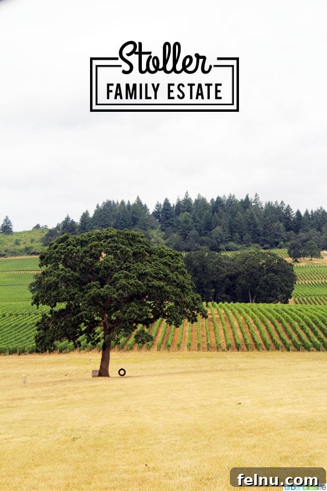Stoller Family Estate Vineyard & Winery, a beautiful Oregon destination
